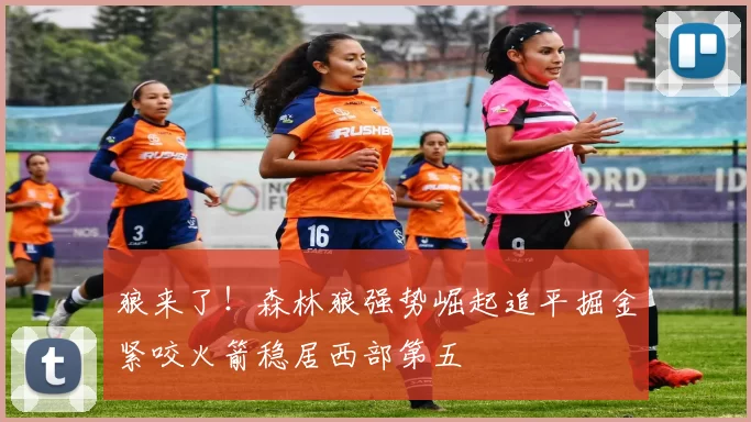狼来了！森林狼强势崛起追平掘金紧咬火箭稳居西部第五