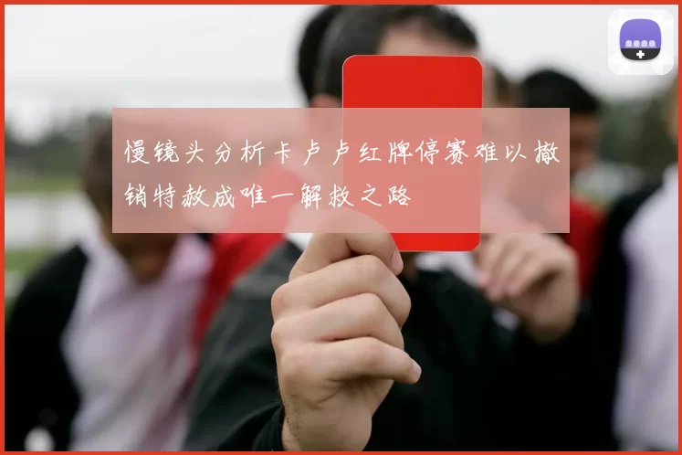 慢镜头分析卡卢卢红牌停赛难以撤销特赦成唯一解救之路